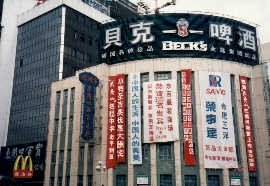 fudongbai1.jpg (22741 bytes)
