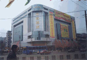 zhongsgang1.jpg (17188 bytes)