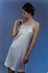 wga3006.jpg (13254 bytes)