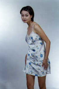 wga3024.jpg (13976 bytes)