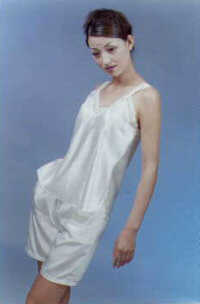 wga3027.jpg (13216 bytes)