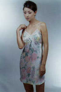 wga3029.jpg (13831 bytes)