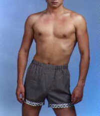 wga5004b.jpg (15426 bytes)