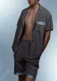 wga8009a.jpg (17146 bytes)