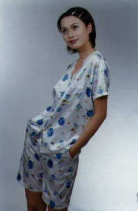 wga8010.jpg (14605 bytes)