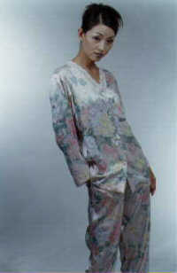 wga8017.jpg (14170 bytes)