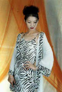 w717e.jpg (14188 bytes)