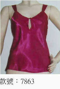 w7863.jpg (16457 bytes)