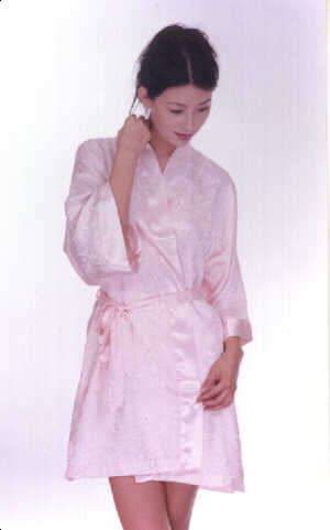 wga2018cn.jpg (20079 bytes)