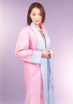 wga2028c.jpg (21881 bytes)