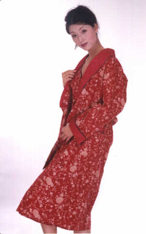 wga2040.jpg (24256 bytes)