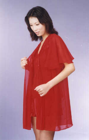 wga2046.jpg (13925 bytes)