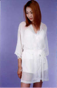 wga2104.jpg (13638 bytes)