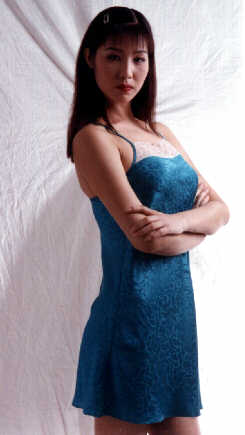 wga3006.jpg (19122 bytes)