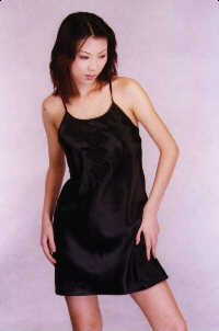 wga3014h.jpg (14371 bytes)