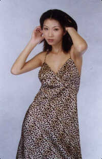 wga3017s.jpg (18473 bytes)