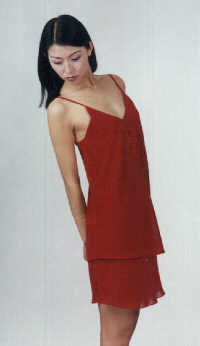 wga3018r.jpg (14793 bytes)