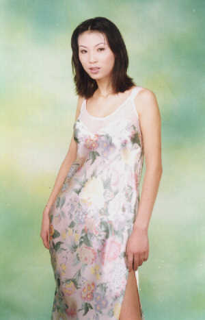 wga3059.jpg (14452 bytes)