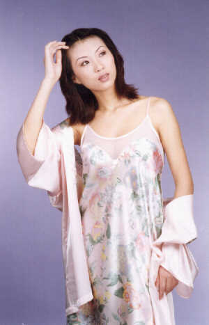 wga3060.jpg (23691 bytes)