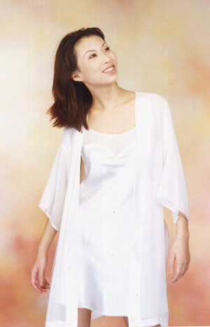 wga3070.jpg (13879 bytes)