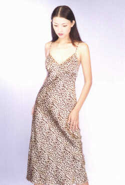 wga3072.jpg (20755 bytes)