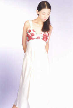 wga3075w.jpg (14849 bytes)