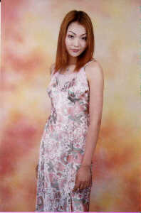 wga3082.jpg (23579 bytes)