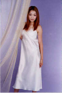 wga3096.jpg (14724 bytes)