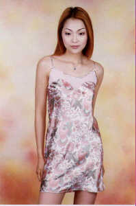 wga3120.jpg (15892 bytes)