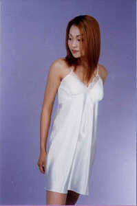 wga3125.jpg (13246 bytes)