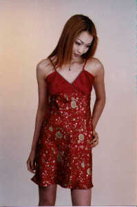 wga3127.jpg (15041 bytes)