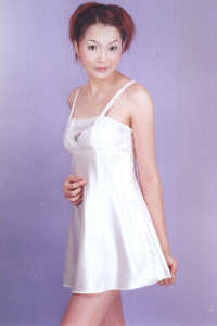 wga3138.jpg (12756 bytes)