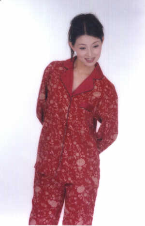 wga8030.jpg (22188 bytes)