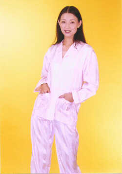 wga8036.jpg (19451 bytes)