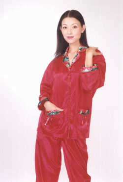 wga8045r.jpg (19699 bytes)