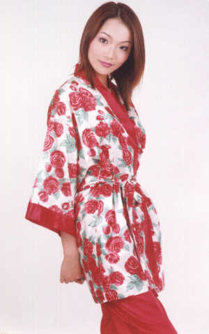 wga8053w.jpg (27202 bytes)