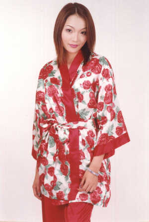 wga8058w.jpg (26905 bytes)