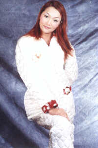 wga8068b.jpg (16251 bytes)