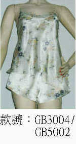 wgb3004_gb5002.jpg (16520 bytes)