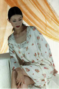 wst2070.jpg (18134 bytes)