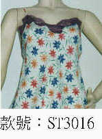 wst3016.jpg (17942 bytes)