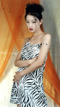 wst3025b.jpg (26334 bytes)