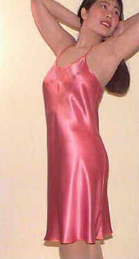 wst3026.jpg (16584 bytes)