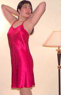 wst3030.jpg (15089 bytes)