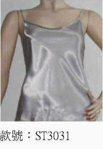 wst3031.jpg (15620 bytes)