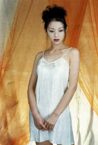 wst3038.jpg (16051 bytes)