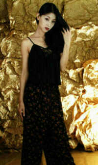 wst3039b.jpg (21626 bytes)