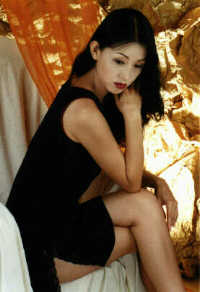 wst3040h.jpg (17524 bytes)