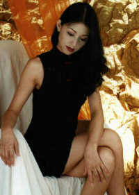 wst3041.jpg (14732 bytes)