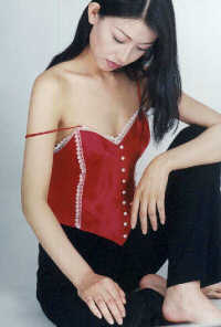 wst3046r.jpg (15871 bytes)